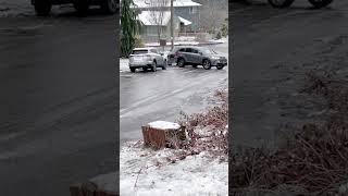 Seattle Ice Storm 2022 Is Crazy
