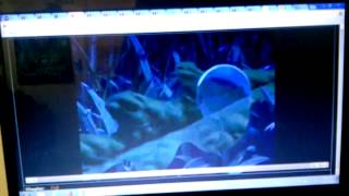 A Bugs Life Dots Bad Dream