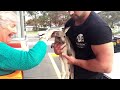 When Your Pet Kangaroo Is Your Best Friend When Your Pet Kangaroo Is Your Best Friend