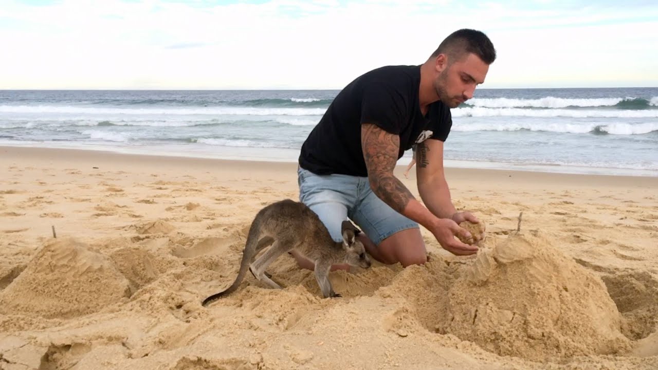 When Your Pet Kangaroo Is Your Best Friend..