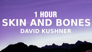 [1 Hour] David Kushner - Skin And Bones (Lyrics) Wrap Me In Your Skin And Bones