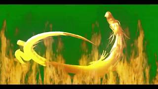 Green Screen Fire Dragon Material, Blue Screen Fire Dragon, Black Screen Fire Dragon