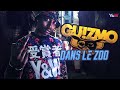 GUIZMO / DANS LE ZOO // L'album "Dans ma Ruche" est dans les bacs // Y&W