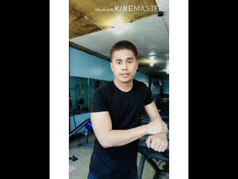 Chest and biceps program