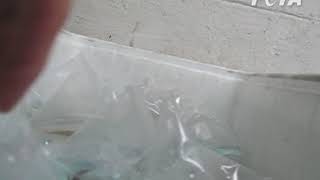 Stacked and Shelved in Cups of Dirty Water