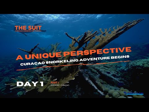 The Suit Curaçao - Day 1 - The Suit begins this unique Curaçao adventure