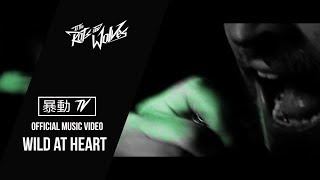 Watch To The Rats  Wolves Wild At Heart video