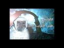 الألبانى لايكره ألا شيعى غبى أو مسلم جاهل , و