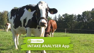RumiWatch Intake Analyser - ITIN+HOCH