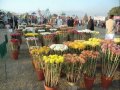 fatima jinnah park