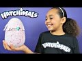 NEW HATCHIMALS MAGICAL SURPRISE EGG OPENING! Kids Toy Review ...