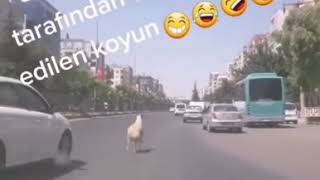 Komi̇k Whatsapp Durum Videoları