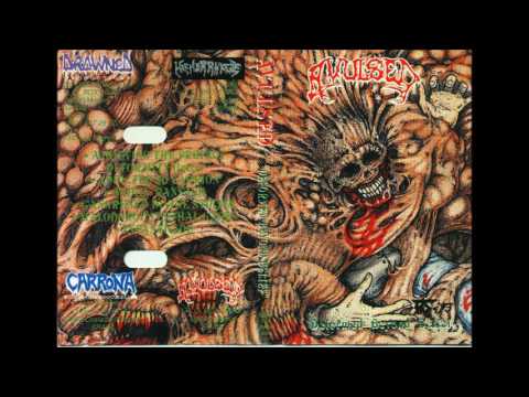 Malodorous Lethal Gases Video