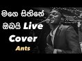 Mage Sihine Obai (මගෙ සිහිනේ ඔබයි)Live Cover at a Wedding Ants band sri lanka
