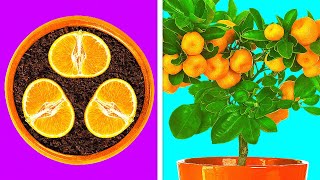 Kendi̇ Bi̇tki̇leri̇ni̇zi̇ Kolayca Yeti̇şti̇rmeni̇z İçi̇n 26 Tüyo