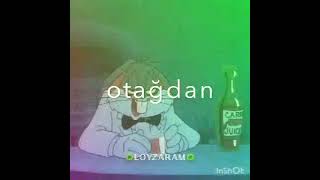 Dostlar Necə Olub Video Özüm Hazırlamışam