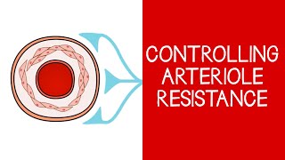 4.3 Cardiovascular Controlling Arteriole Resistance