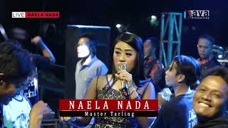 Iwak Peda - Tria Aulia - NAELA NADA Live gebang