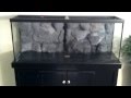 How To Build A D.I.Y. 3D Rock Wall Aquarium Background Part 3