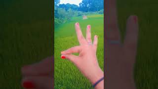 Hand Dance