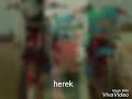 Jomblo happy versi herek