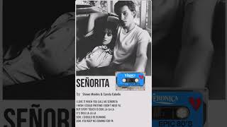 Senorita Shawn Mendes Song Download Cabello Mendes
