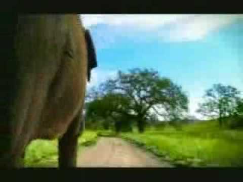 Hathi Mera Sathi