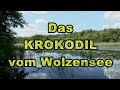 Das Krokodil Vom Wolzensee