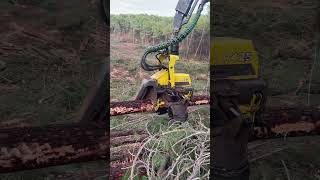 How The Harvester 1270G Cuts And Peels The Tree #Automobile #Farming #Trending #Viral #Wood #Tree
