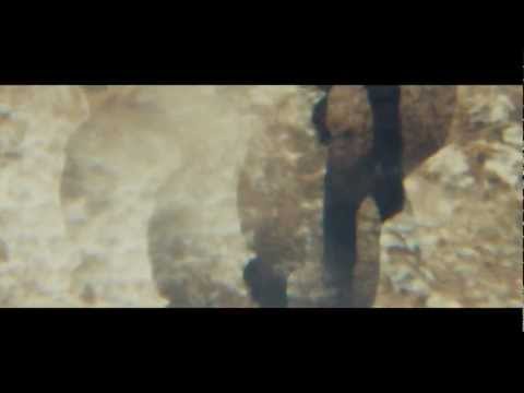 Hidden Shelters Video