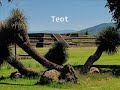 Pirámides de Teotihuacan, México