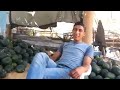 مواقف وطرائف سكس