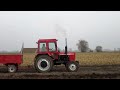 Mtz82