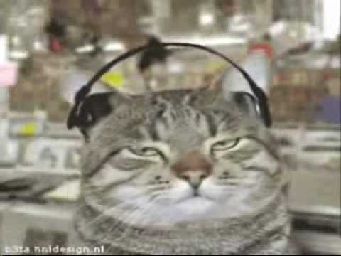 best of des chat