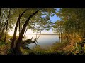 Wynonna Judd - Testify To Love