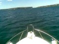 Bertram 25 flybridge rebuilt 170 mercruisers.