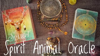 Unboxing & Walkthrough of Spirit Animal Oracle by Colette Baron-Reid & Jena DellaGrottaglia