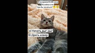 Кто Хочет Стать... #Ржачныевидео #Tiktok #Cat #Shortscats #Юмор #Смех_До_Слез #Приколы