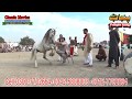 Horse Dance Jashne Bodla Bahar Day 2nd 2017 Abadi Shahbaz Nagar Pakpattan 17
