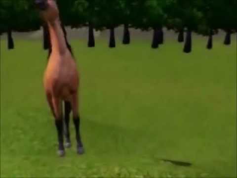 Spirit Stallion of The cimarron Part 1~