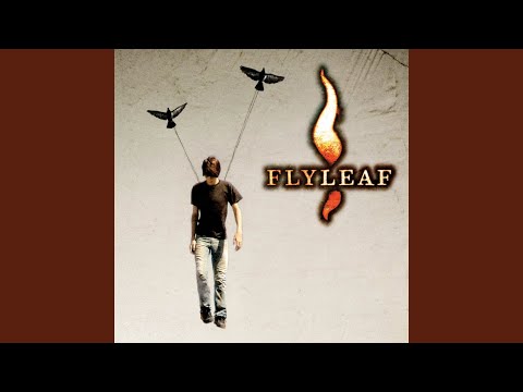 Perfect Video