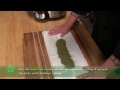 Weed