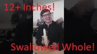 Tard Swallows Banana Whole 12 Inches