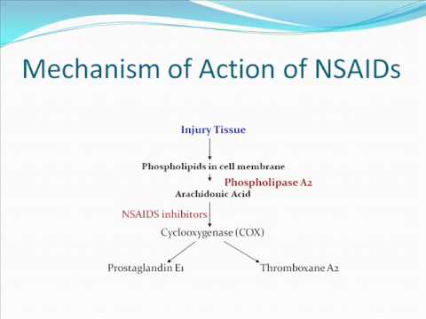 Non steroidal anti inflammatory drugs powerpoint