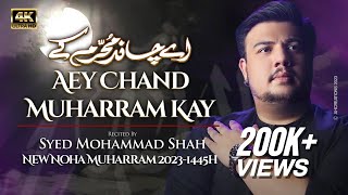 Nohay 2023 Ay Chand Muharram Ke Syed Mohammad Shah Bibi Sughra Noha 2023 New Nohay 20231445