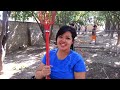 Picking oranges at the Orange County Ronald McDonald House