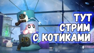 🔸Прохожу Очень Милый Ивент С Котиками😺 | Игра - Хонкай Стар Рейл 1.6 Хср