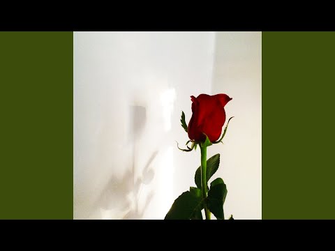 LESS THAN THREE (feat. Lil Happy Lil Sad) LESS THAN THREE (feat. Lil Happy Lil Sad)
