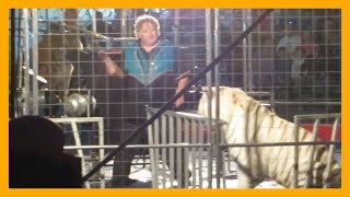 Brian Franzen Uses Fear and Punishment to Force Tigers to Perform at Shrine Circus