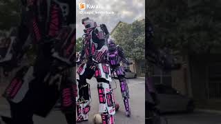 Robots Perreando